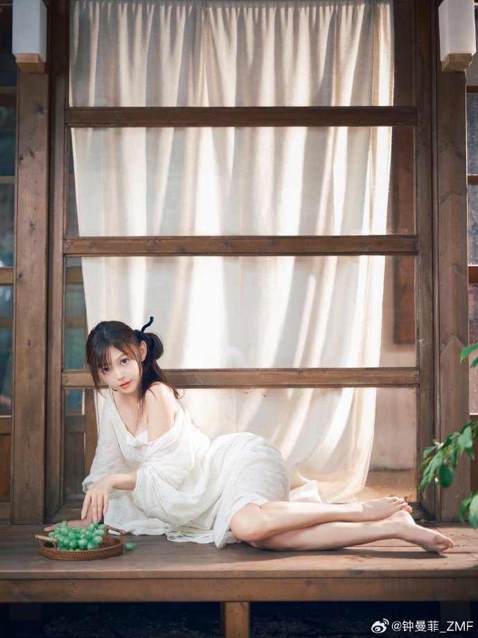风骚律师