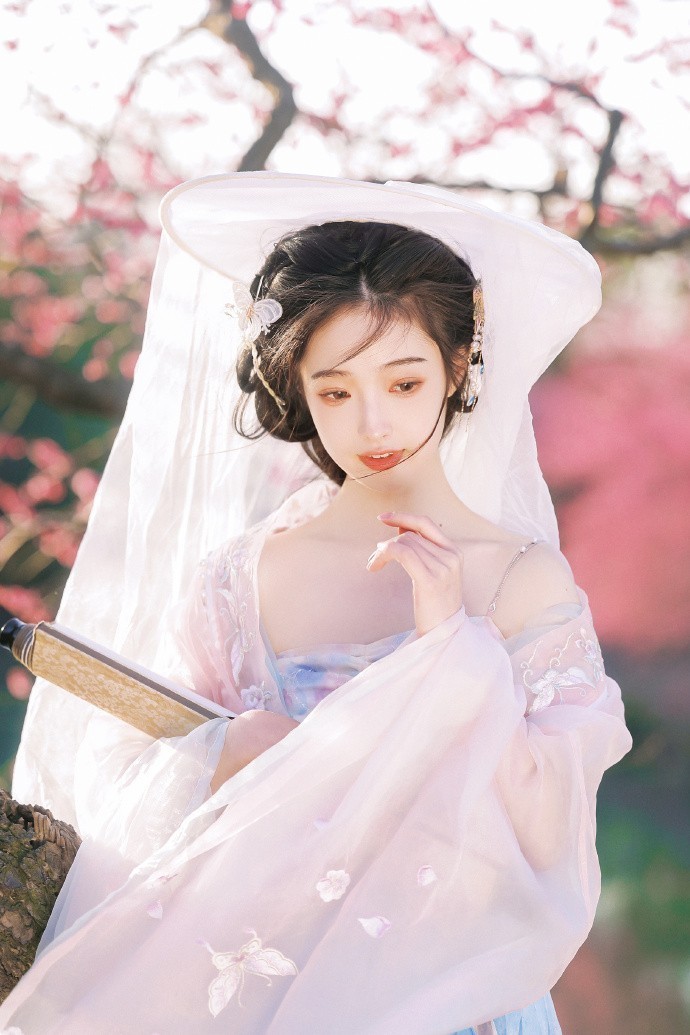 走向共和 封面