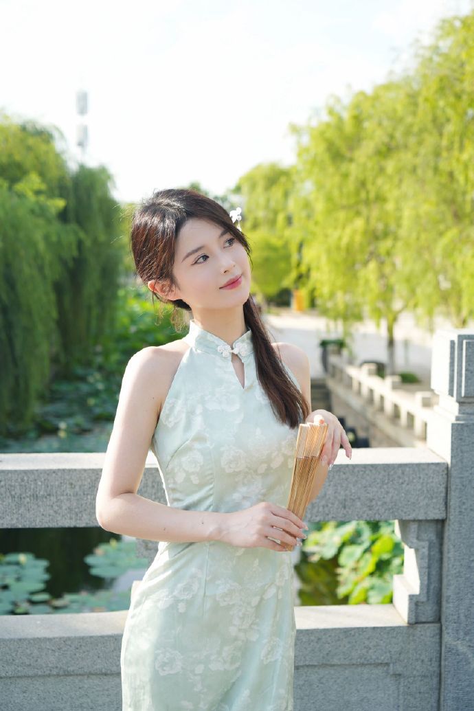 绿皮书